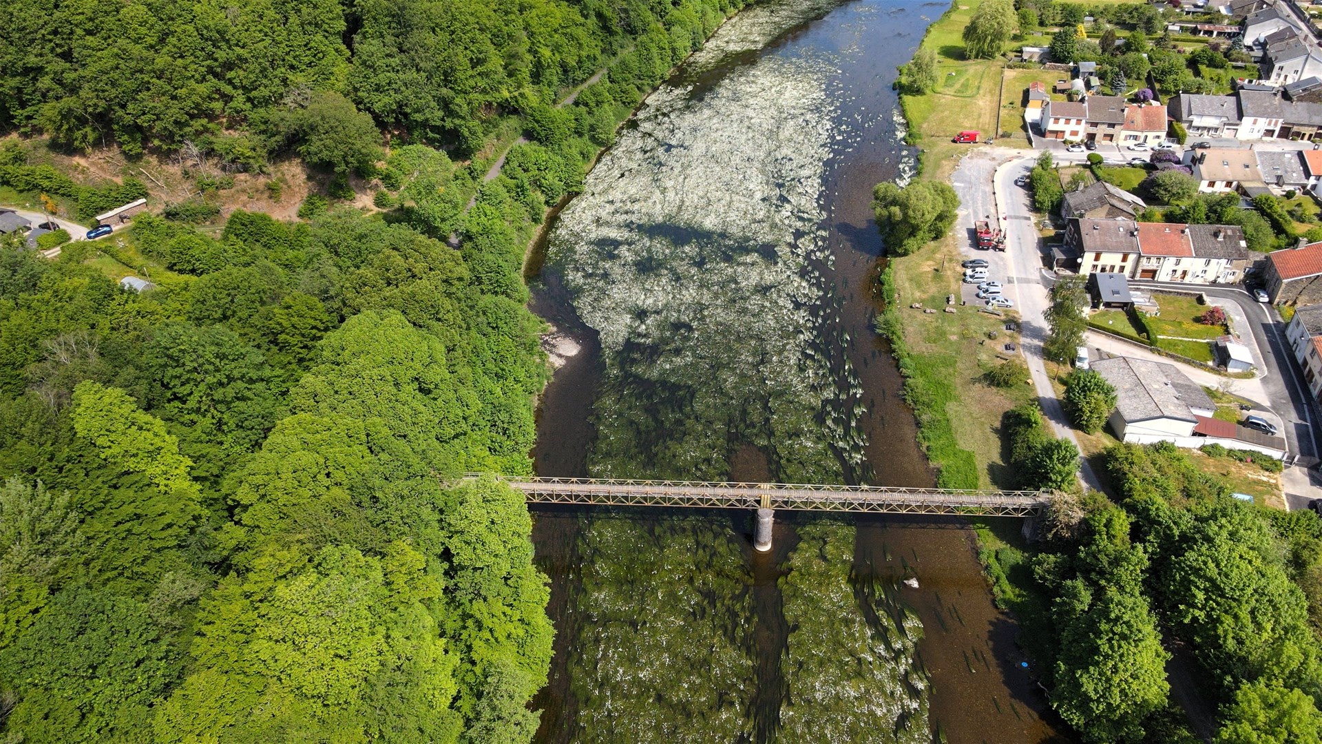 La passerelle de Naux - 03